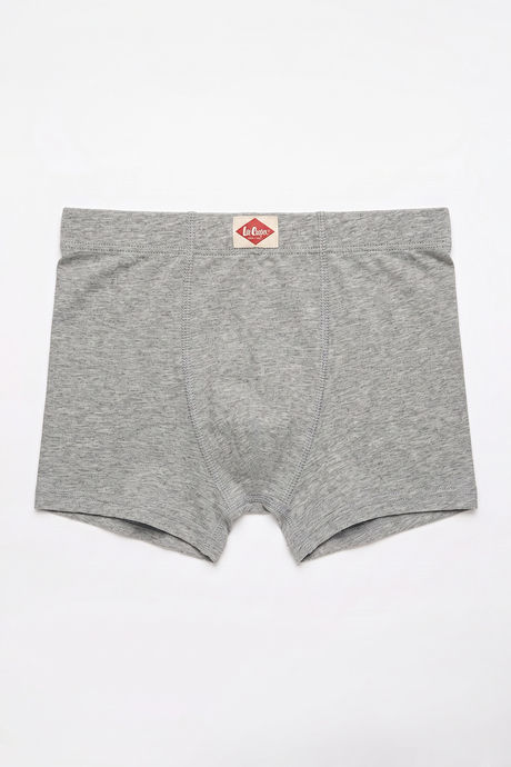 Lee Cooper Boys Solid Trunk (Pack of 3) - Multicolor — image 10